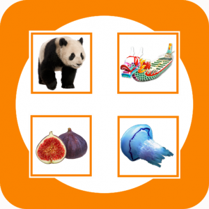 Match + Read Icon Educational Games